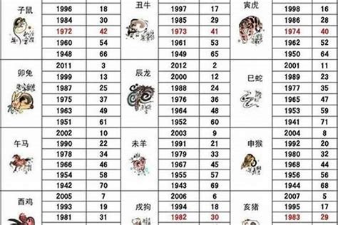 2014年生肖|2014年属什么生肖 2014年属什么的生肖